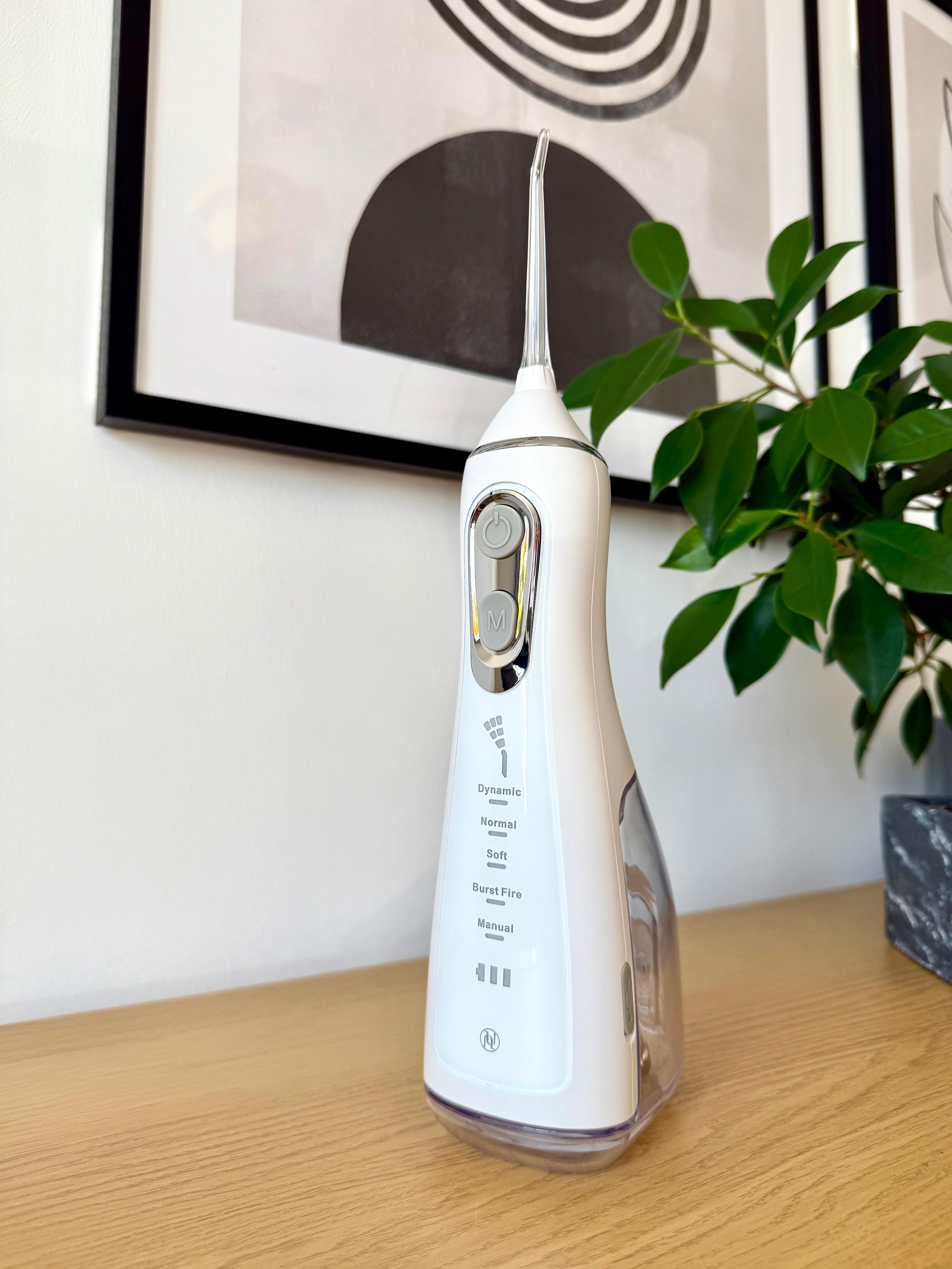 Luxe Water Flosser